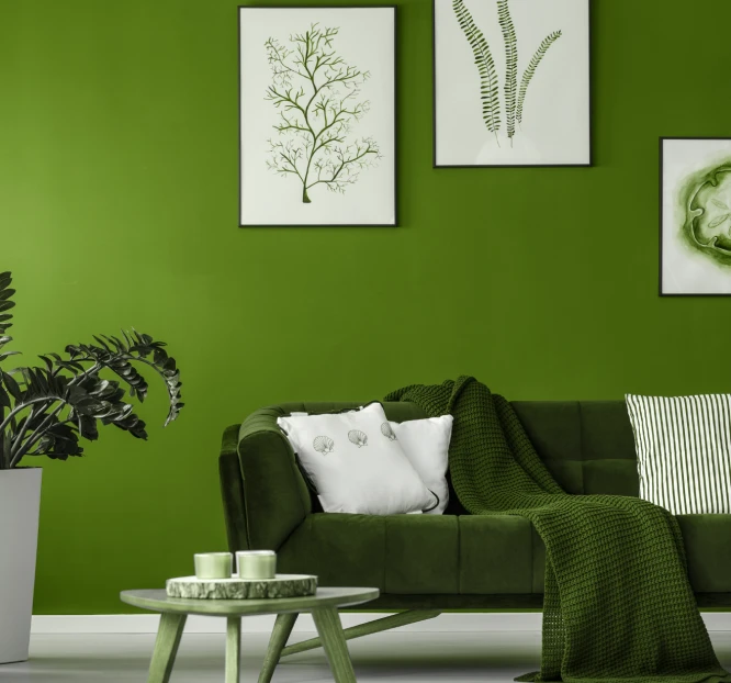 about our painting services