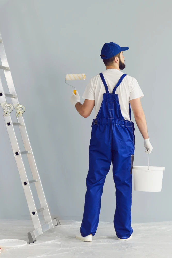 professional painting the wall